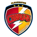 清水闪电logo